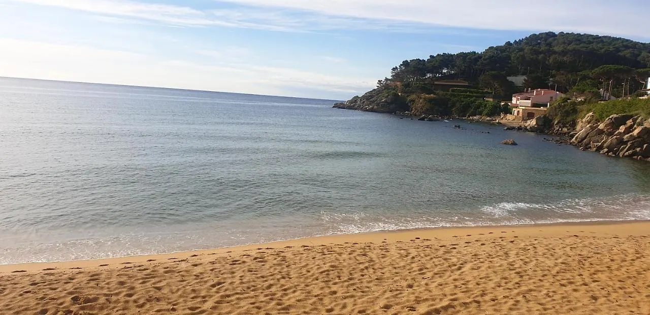 Lejlighed Apartamento Con Jardin A 11 Metros De La Playa. Cg. Palamós